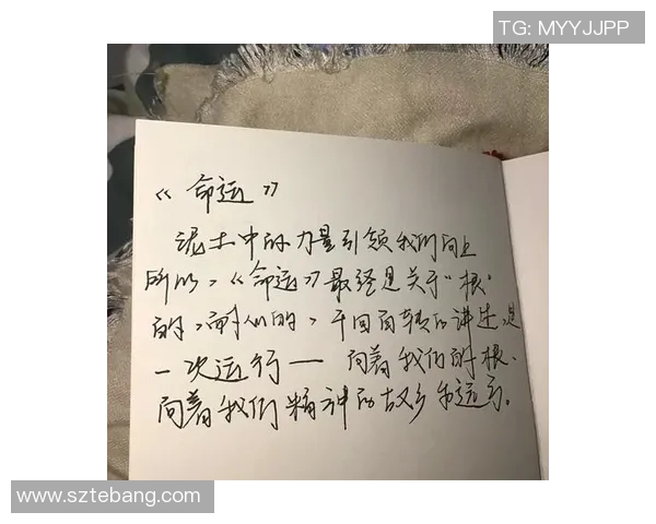 苏伟的奋斗历程与人生哲学探讨：从平凡到卓越的启示与思考