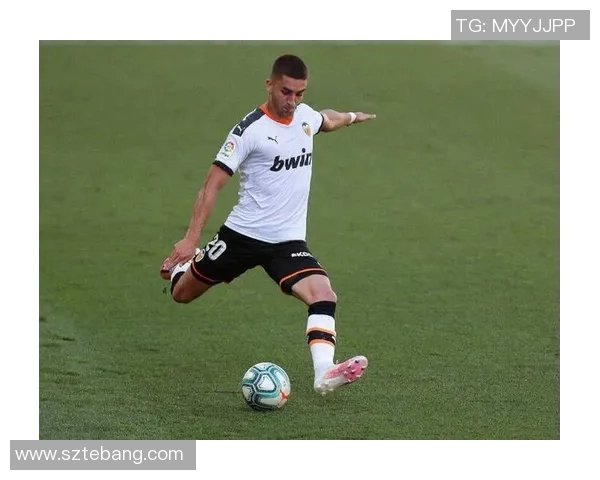 费兰托雷斯的崛起之路：从青训天才到足球明星的奋斗历程