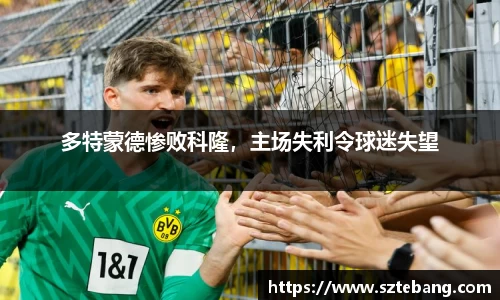 VSport网址