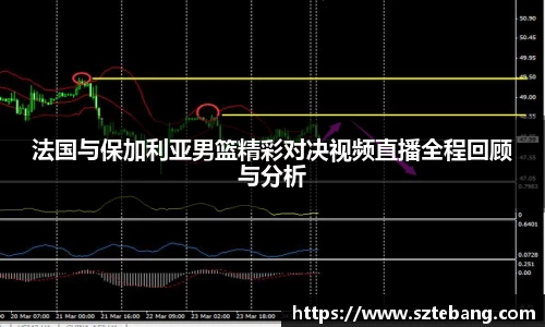 法国与保加利亚男篮精彩对决视频直播全程回顾与分析